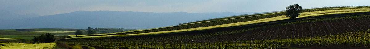 Pano-Alto-Najerilla-La-Rioja