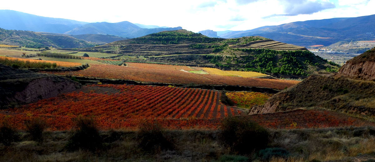 Terroir in La Rioja Oriental