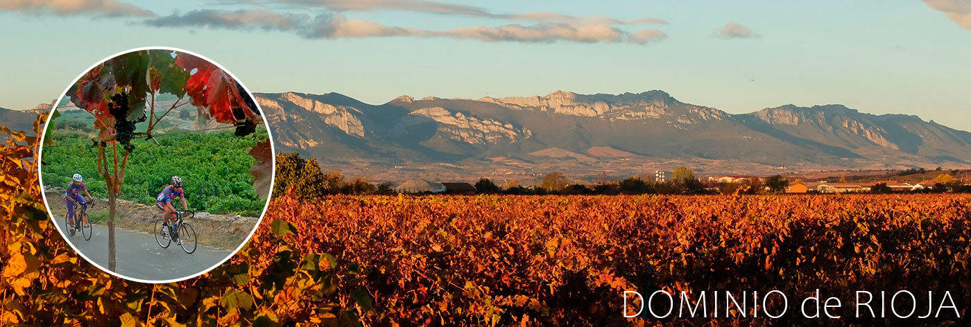 panorama-Dominio-de-Rioja-Bike-Route