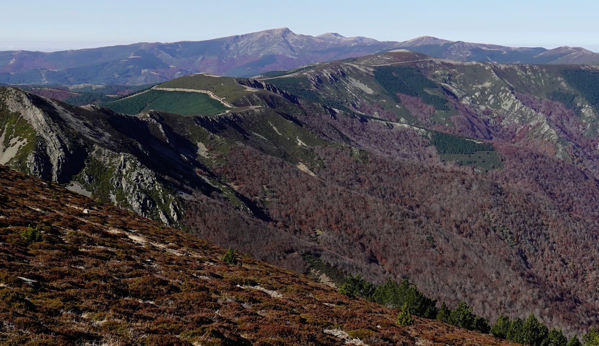 La Demanda high area 2