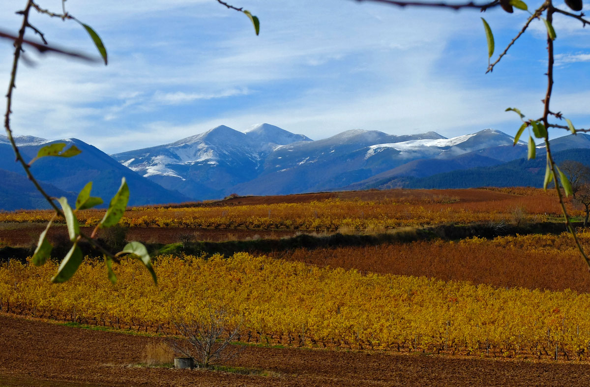 Primeras nieves en La Demanda