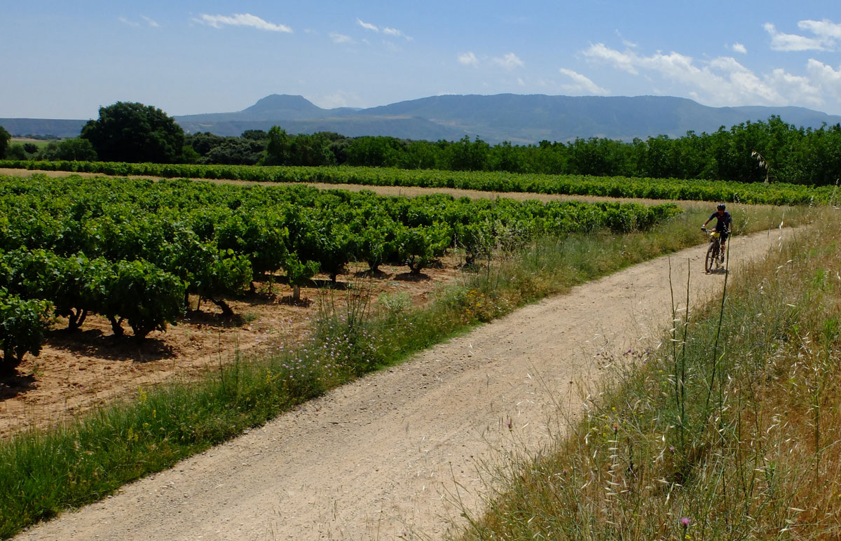 Ciclista en La Rioja Bike Race 2021